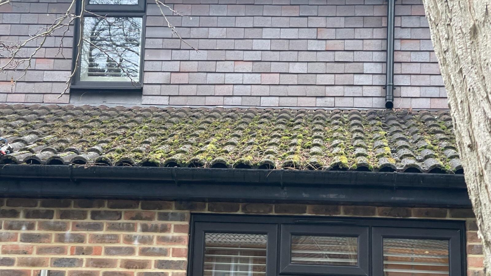 Heavy moss growth being removed from interlocking concrete roof tiles