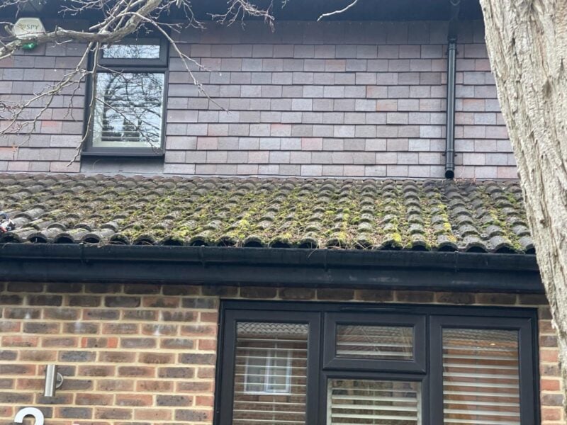 Heavy moss growth being removed from interlocking concrete roof tiles